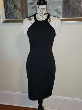 Lyrur Black High Neck  Dress